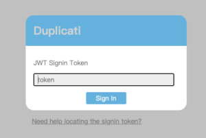 输入 Token